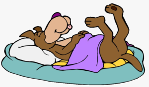 Dog Enjoying Sleeping