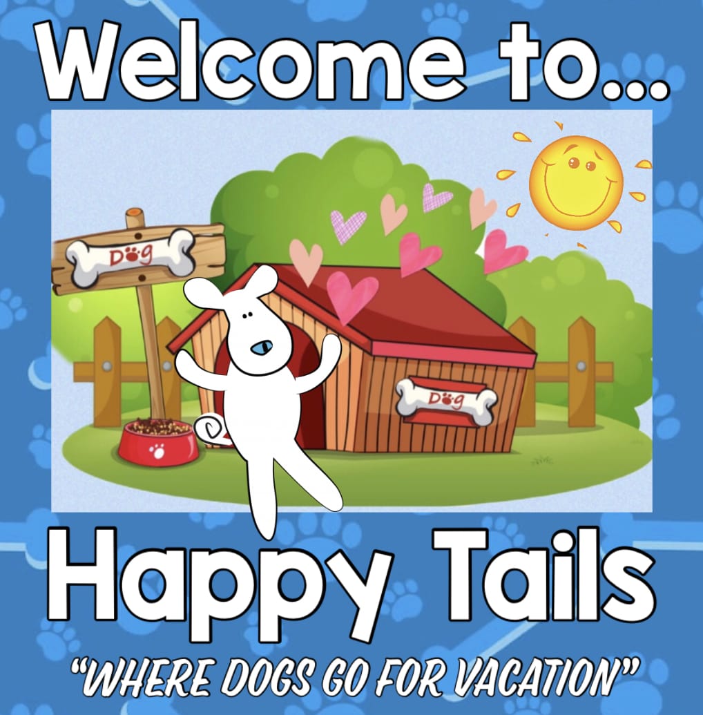 happy tails home boarding