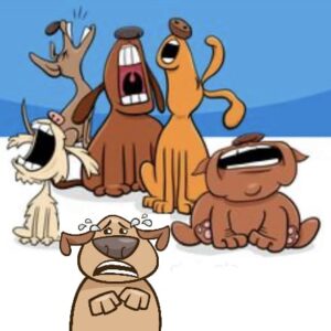 Avoid Kennel Stress Facilities